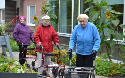 Viitakodin pihamaalla pidettiin pihatalkoot Suomi 100 kunniaksi