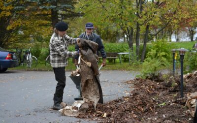 Seniori- ja palvelutalo Viitakodin pihatalkoot 21.5. klo 12.00 – 16.00