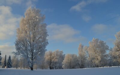 Ystävänpäivän hemmoteluja