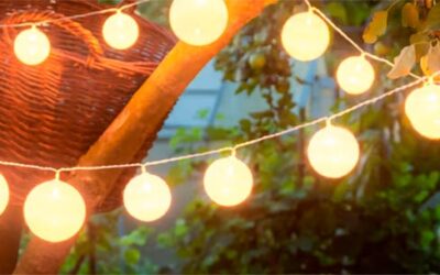 Tervetuloa pihajuhlaan 28.8.2025 Viitakodille